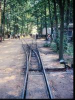 Vergrössern